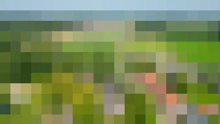 Schadewijk 3 Eersel thumbnail 57