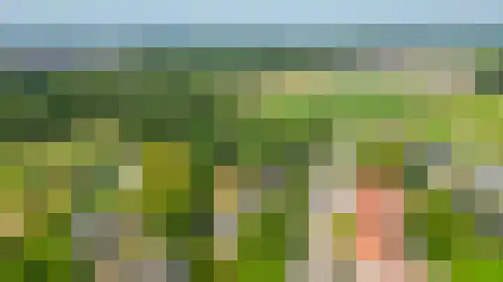 Schadewijk 3 Eersel thumbnail 58
