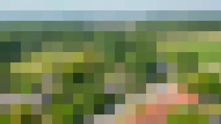 Schadewijk 3 Eersel thumbnail 59