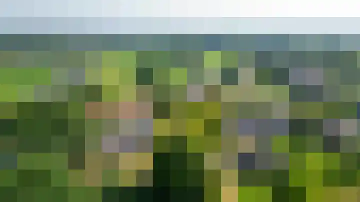Schadewijk 3 Eersel thumbnail 61