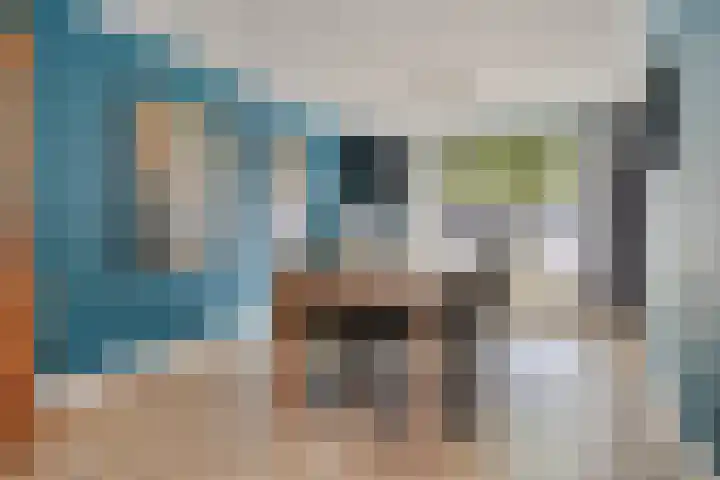 Schadewijkstraat 42 Oss thumbnail 9