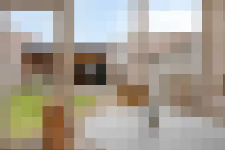 Schadewijkstraat 69 Oss thumbnail 13