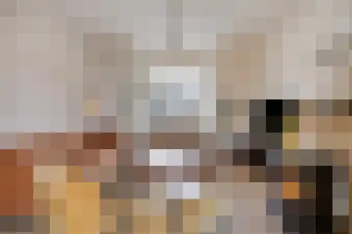 Schadewijkstraat 69 Oss thumbnail 5