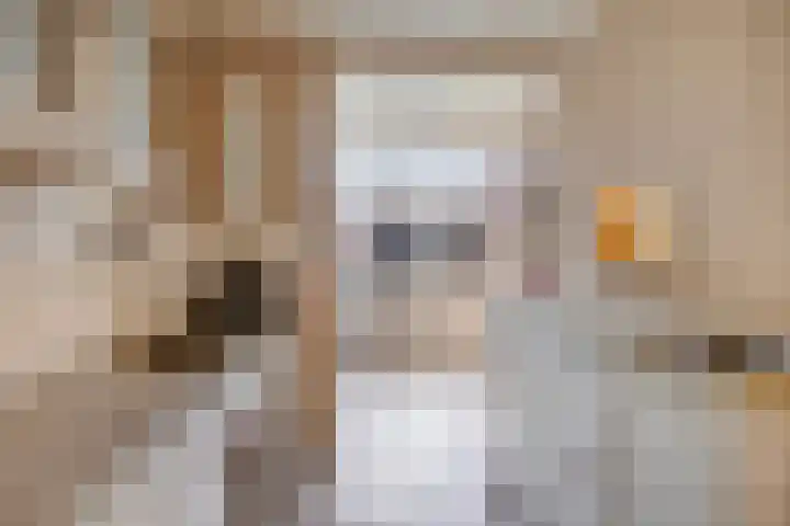 Schadewijkstraat 69 Oss thumbnail 9