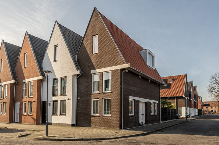 Schaduwrijk 1 in Puttershoek foto