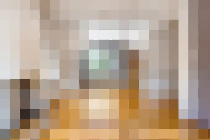 Schaepmanstraat 12 Weerselo thumbnail 8