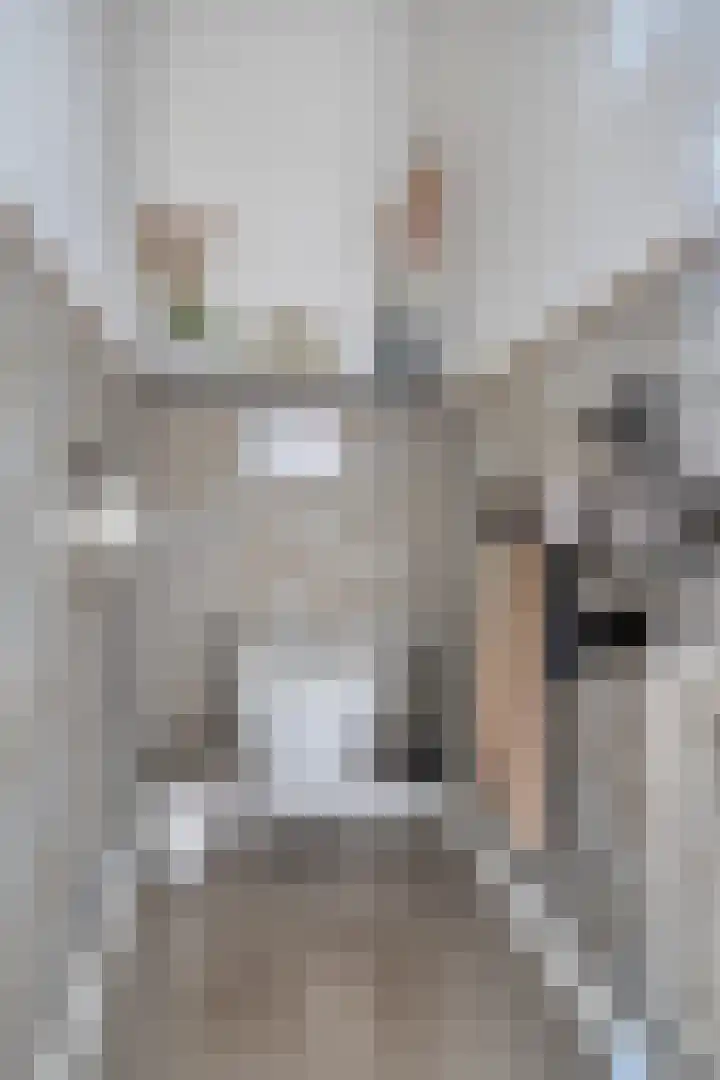 Schaepmanstraat 20 Tilburg thumbnail 17