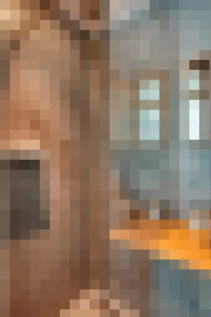 Schaepmanstraat 20 Tilburg thumbnail 28
