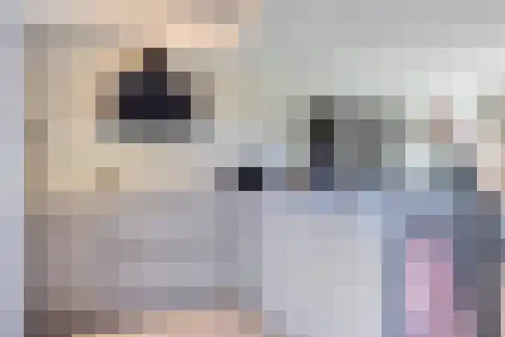 Schaepmanstraat 32 Epe thumbnail 10