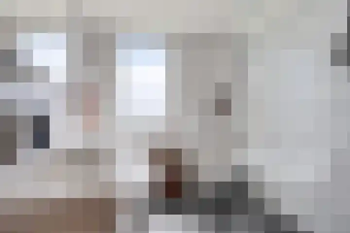Schaepmanstraat 32 Epe thumbnail 22
