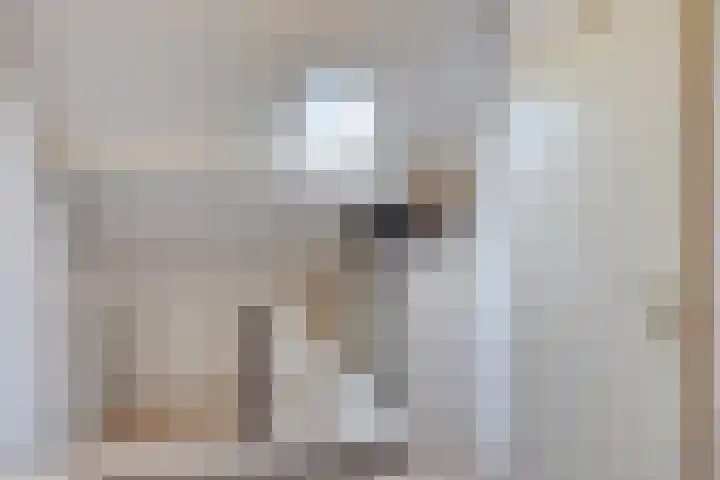Schaepmanstraat 32 Epe thumbnail 26