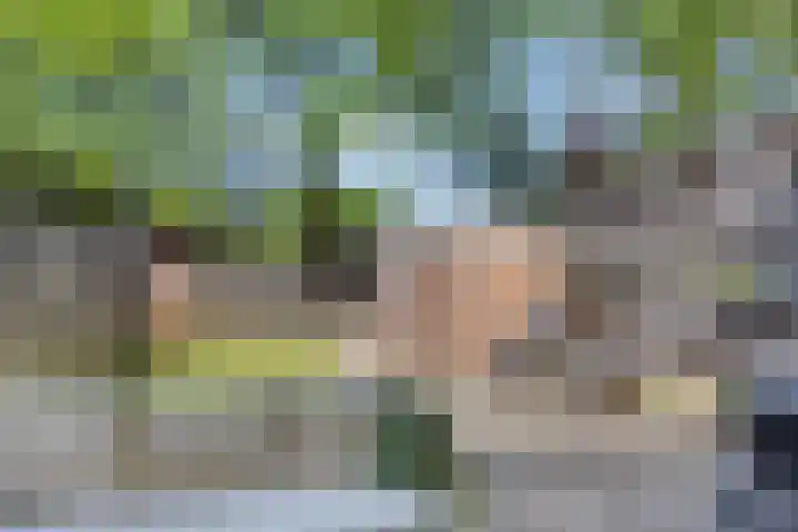 Schaepmanstraat 32 Epe thumbnail 31