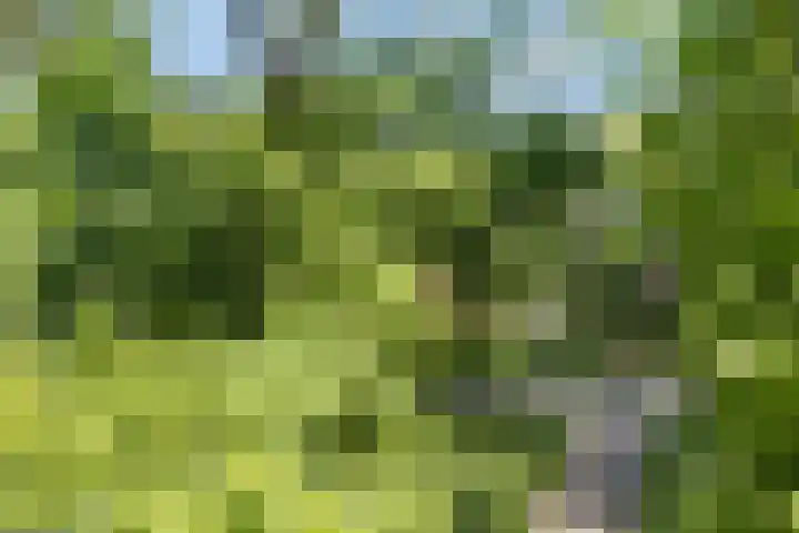 Schaepmanstraat 32 Epe thumbnail 37