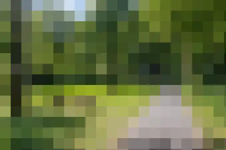 Schaepmanstraat 32 Epe thumbnail 38