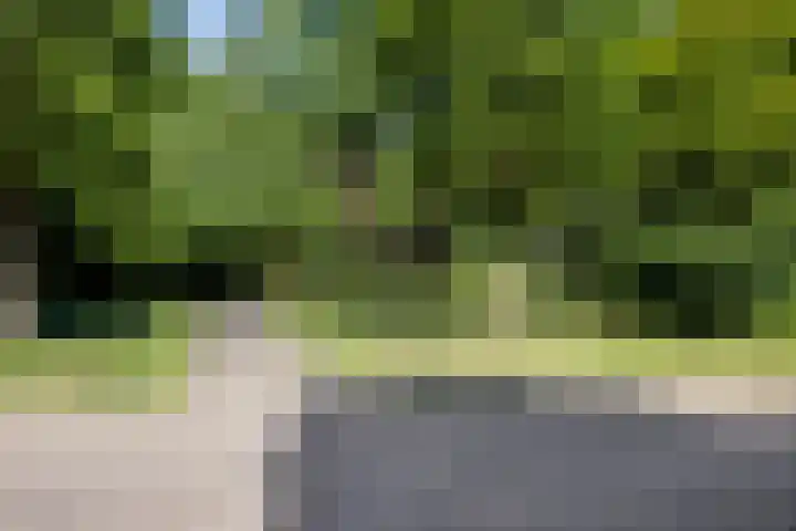 Schaepmanstraat 32 Epe thumbnail 39