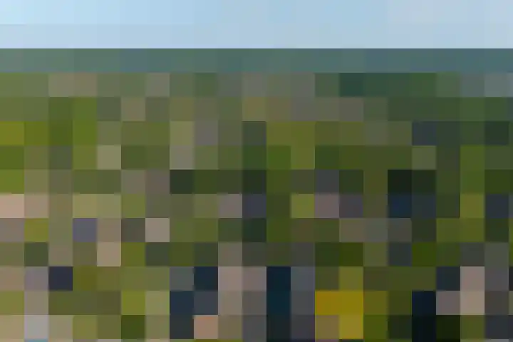 Schaepmanstraat 32 Epe thumbnail 4