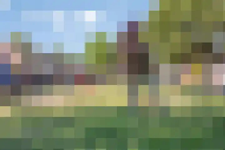 Schaepmanstraat 32 Epe thumbnail 41