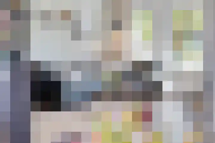 Schaepmanstraat 32 Epe thumbnail 8
