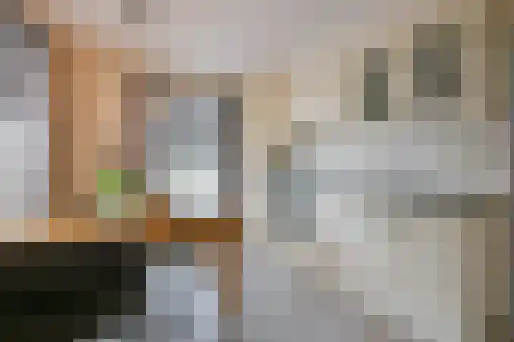 Schagerweg 39 Middenmeer thumbnail 10