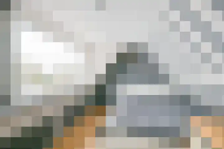 Schagerweg 39 Middenmeer thumbnail 24