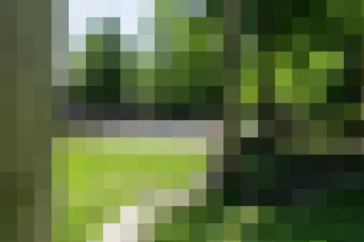 Screenshot van de website van www.schalkmakelaardij.nl