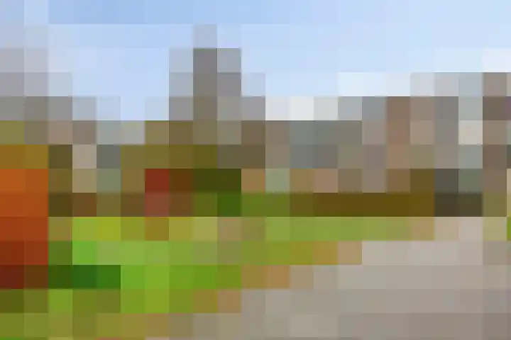 Schalkwijkpad 31 Amsterdam thumbnail 33