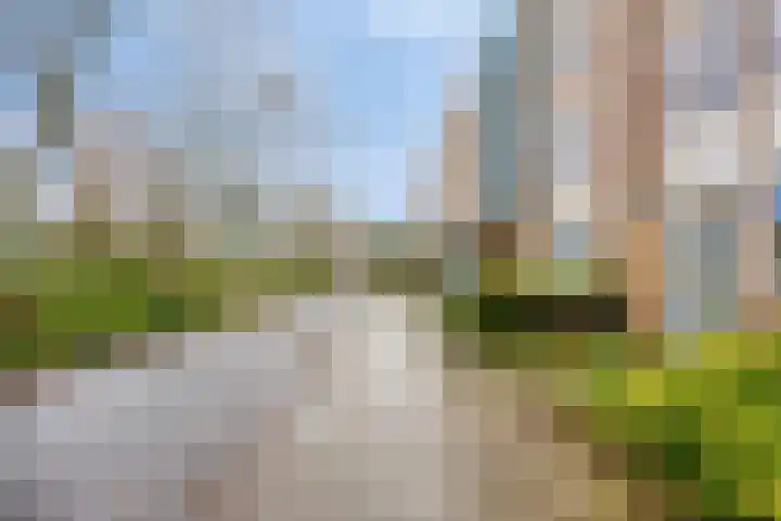 Schalkwijkpad 31 Amsterdam thumbnail 5