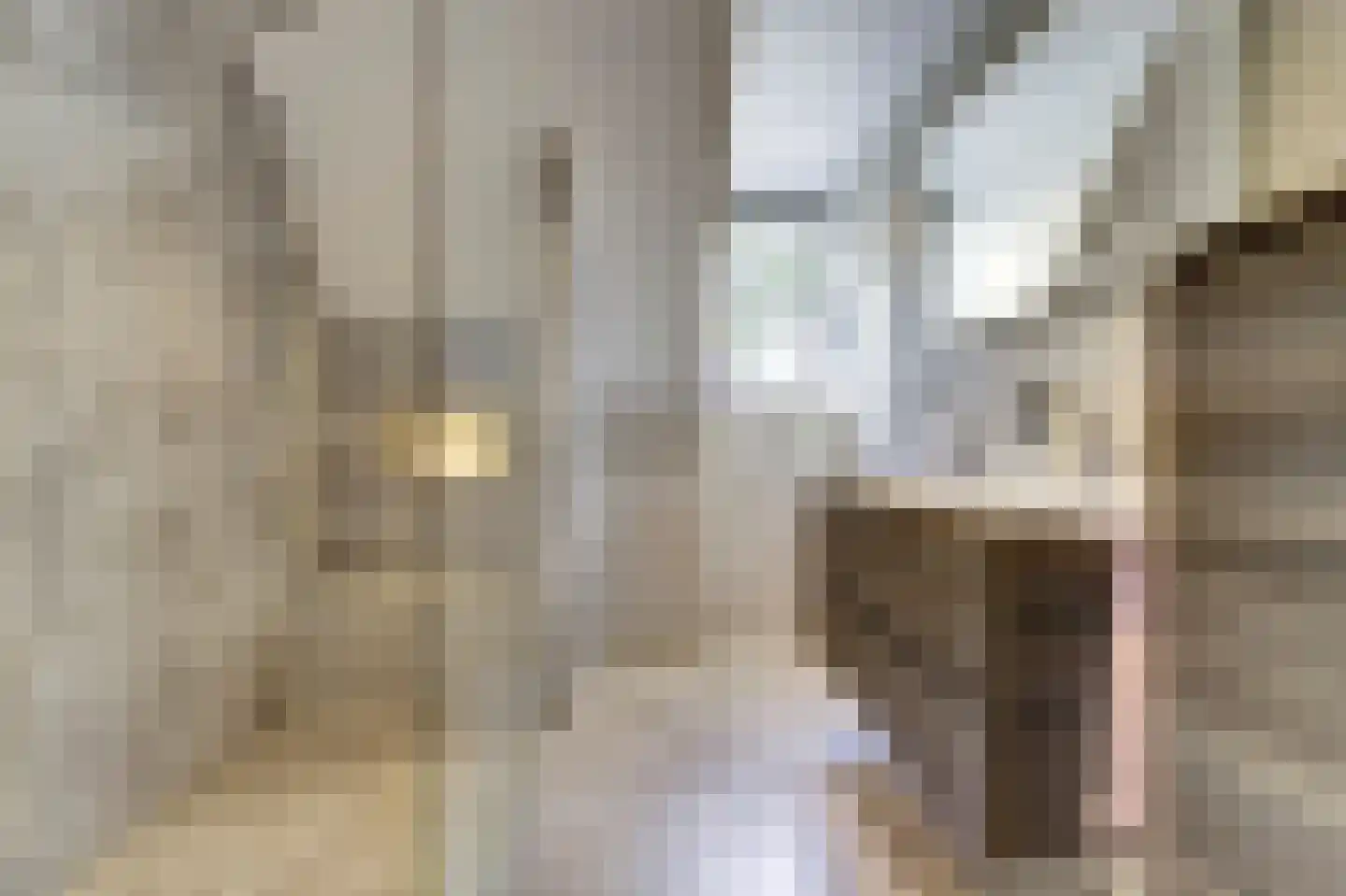 Schalluine 4 Reusel thumbnail 30
