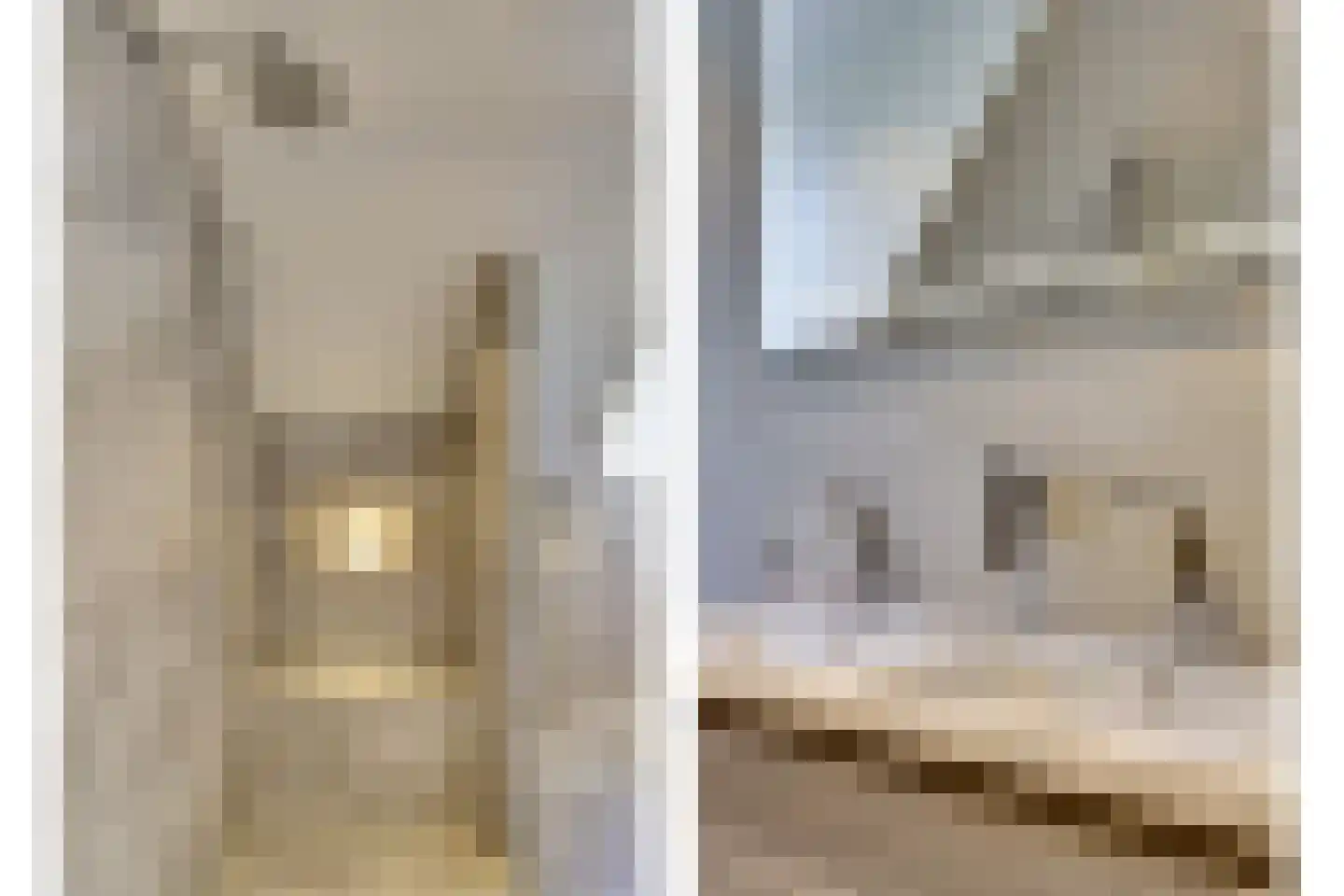 Schalluine 4 Reusel thumbnail 32