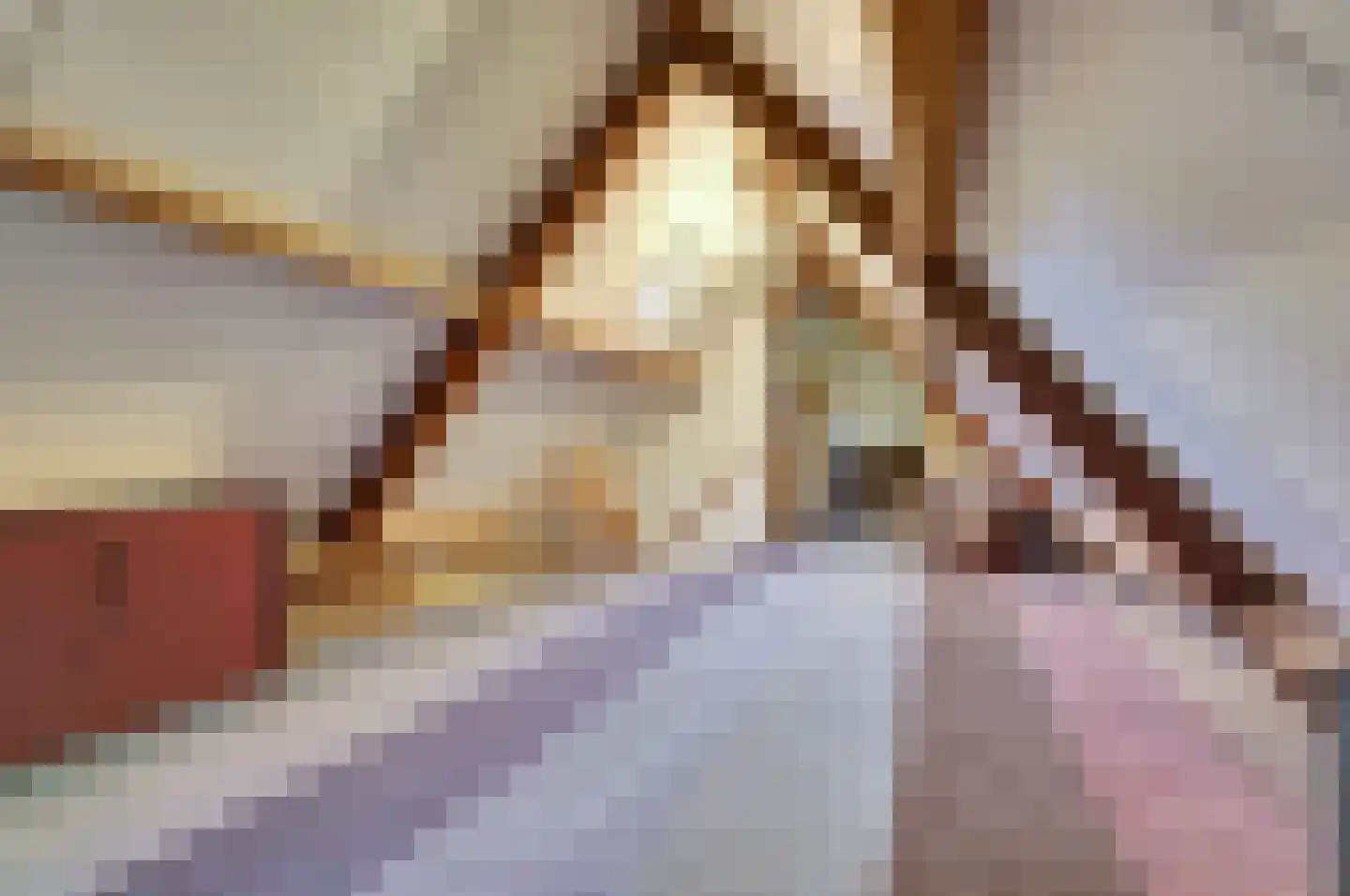 Schalluine 4 Reusel thumbnail 34