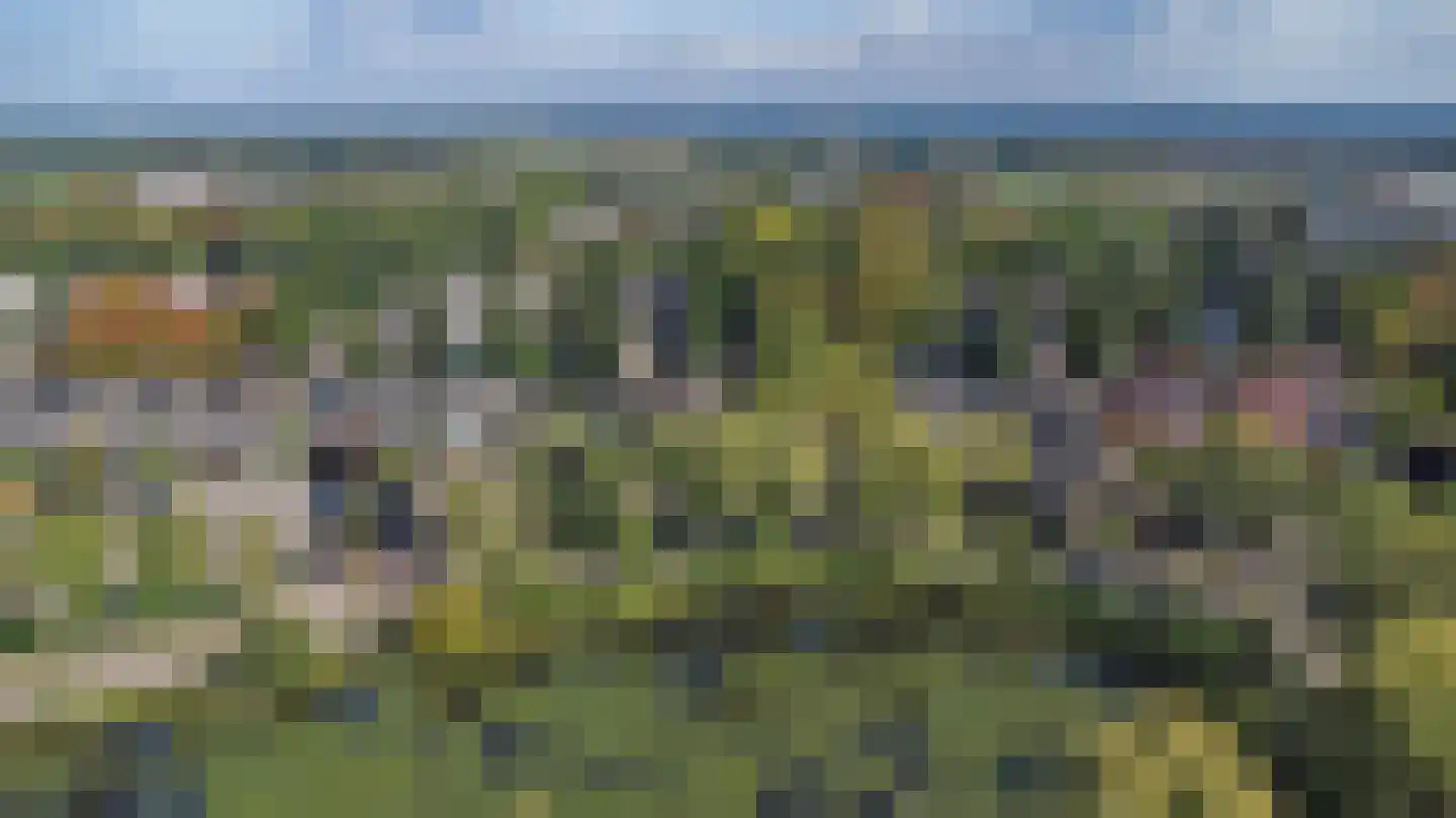 Schalluine 4 Reusel thumbnail 45