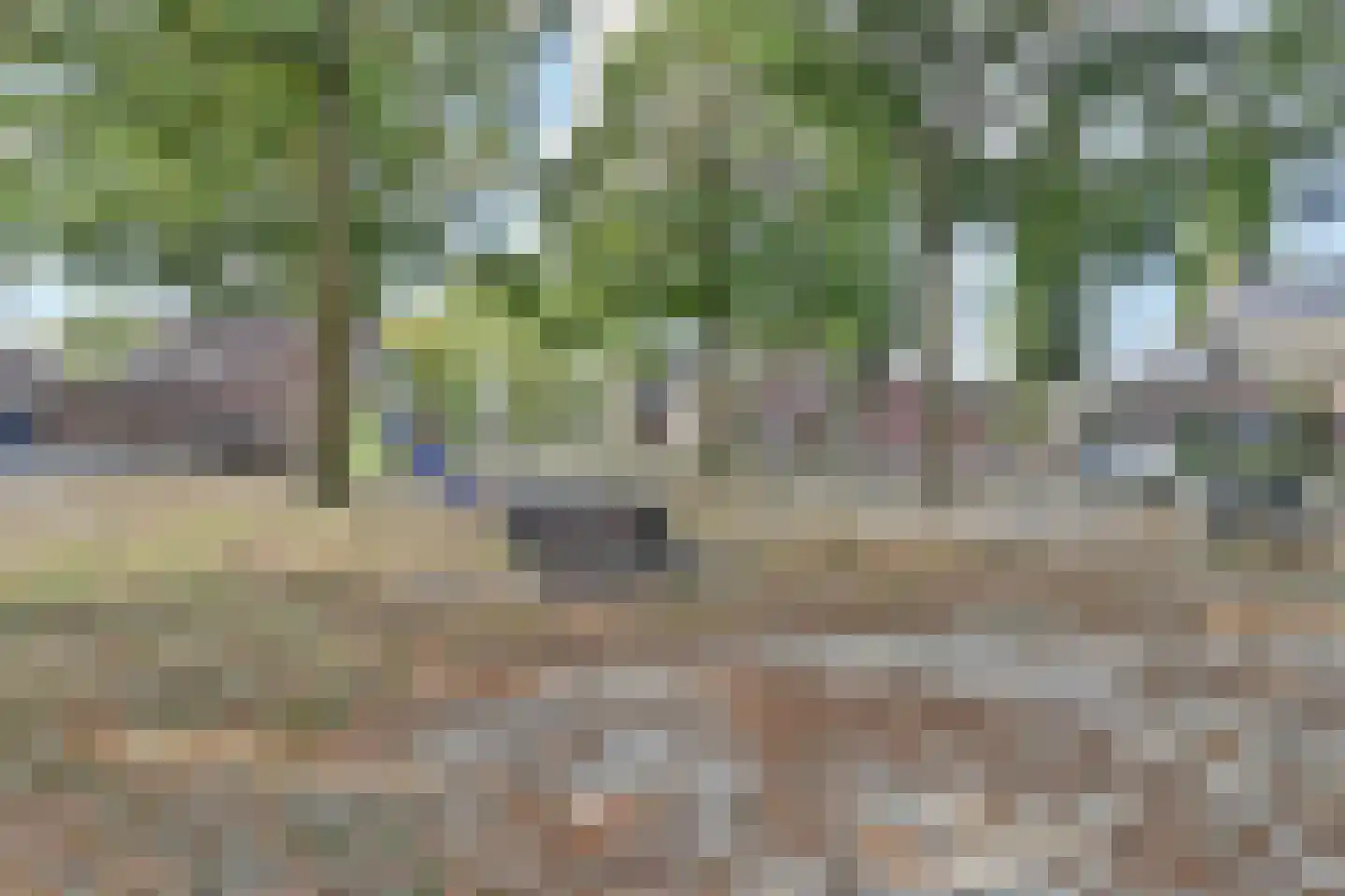 Schalluine 4 Reusel thumbnail 46