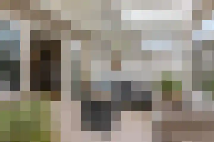 Schalmei 11 Zevenaar thumbnail 31