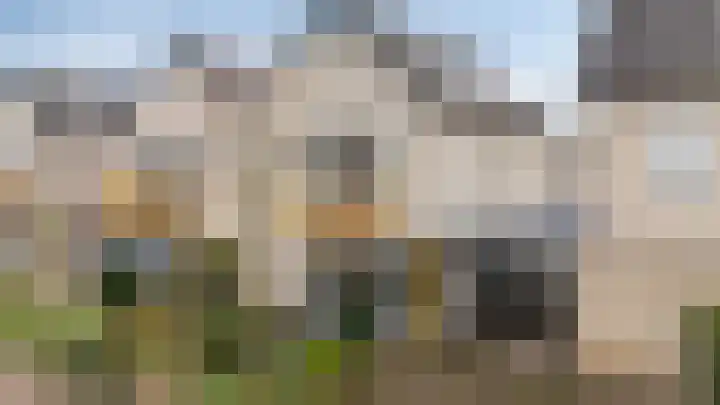Schalmei 11 Zevenaar thumbnail 5