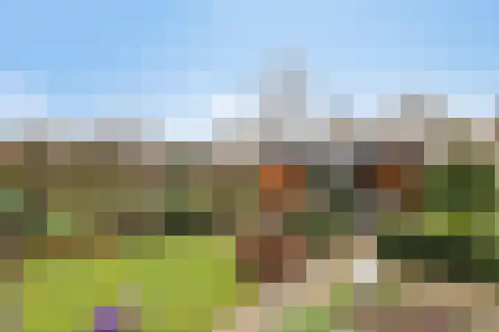 Schalmei 11 Zevenaar thumbnail 53