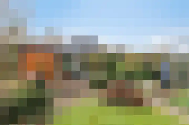 Schalmei 11 Zevenaar thumbnail 54