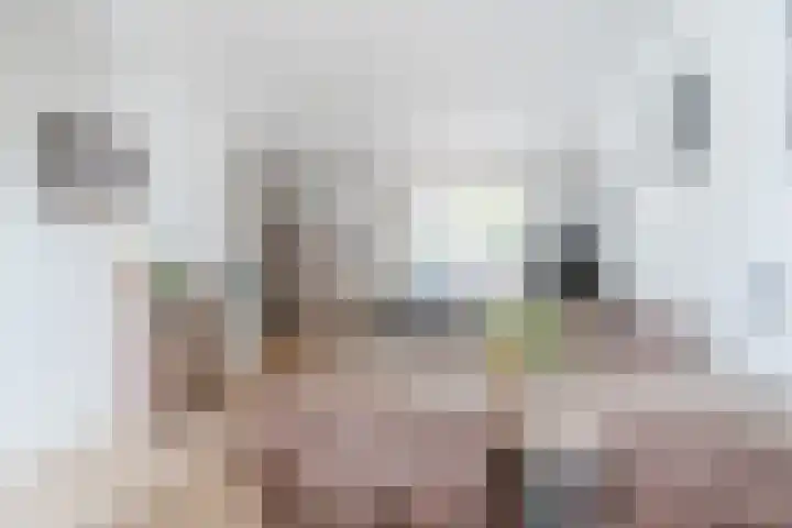 Schalmstraat 25 Eindhoven thumbnail 11