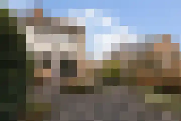 Schalmstraat 25 Eindhoven thumbnail 14