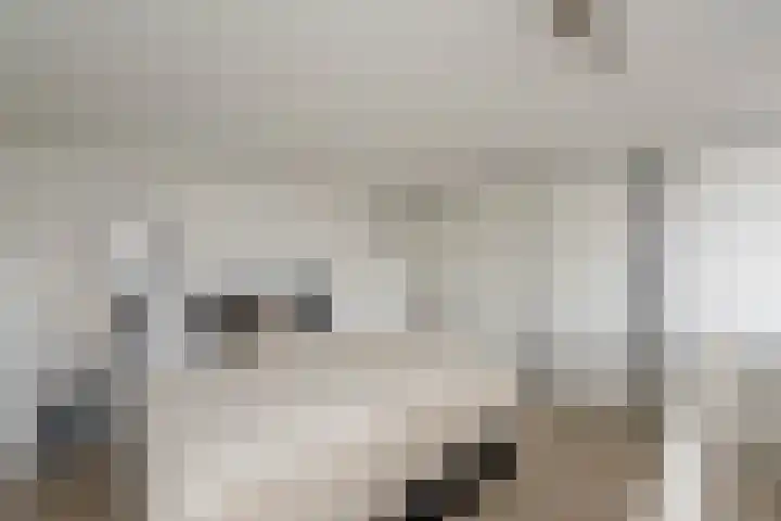 Schalmstraat 25 Eindhoven thumbnail 33