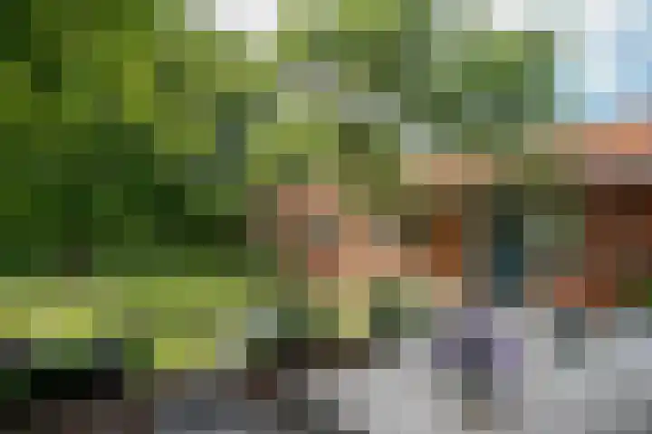 Schandelo 114 Velden thumbnail 43