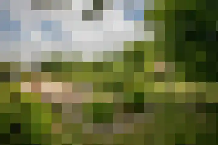 Schandelo 114 Velden thumbnail 46
