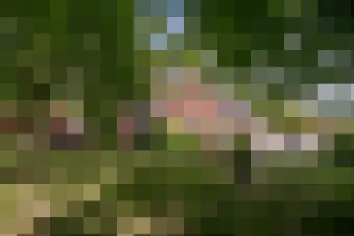 Schandelo 114 Velden thumbnail 49
