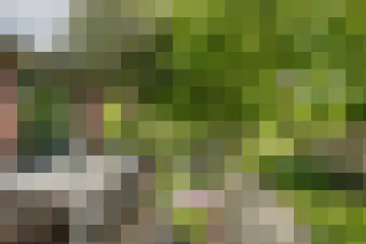 Schandelo 114 Velden thumbnail 5