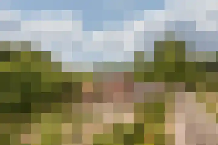 Schandelo 114 Velden thumbnail 50