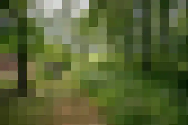Schandelo 114 Velden thumbnail 58