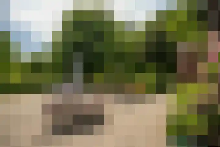 Schandelo 114 Velden thumbnail 6