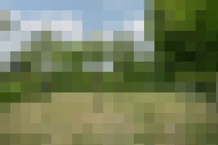 Schandelo 114 Velden thumbnail 61