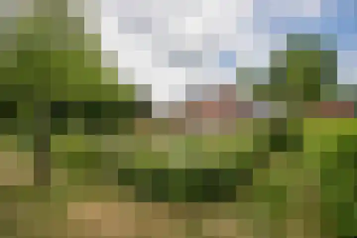 Schandelo 114 Velden thumbnail 65