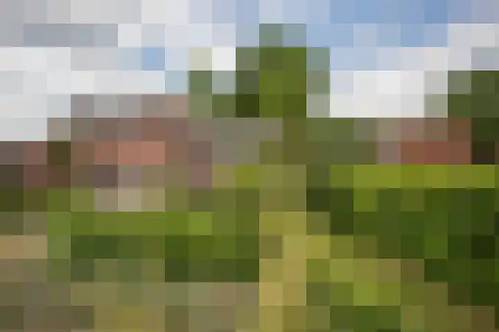 Schandelo 114 Velden thumbnail 66