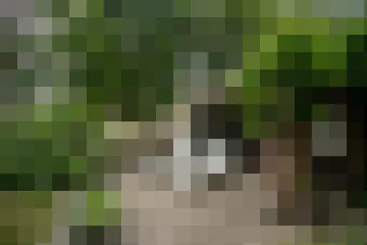Schandelo 114 Velden thumbnail 69
